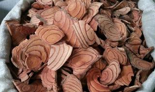 中药巴戟天 中药巴戟天