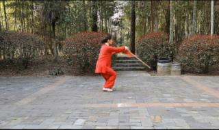 42式太极剑 42式太极剑